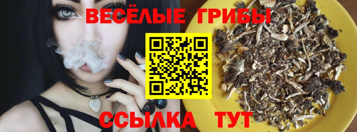 Галлюциногенные грибы мухоморы  Вход с VPN  продажа наркотиков  Псилоцибиновые грибы прущие грибы  Троицк 