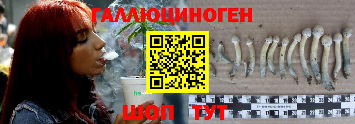 Галлюциногенные грибы GOLDEN TEACHER Троицк